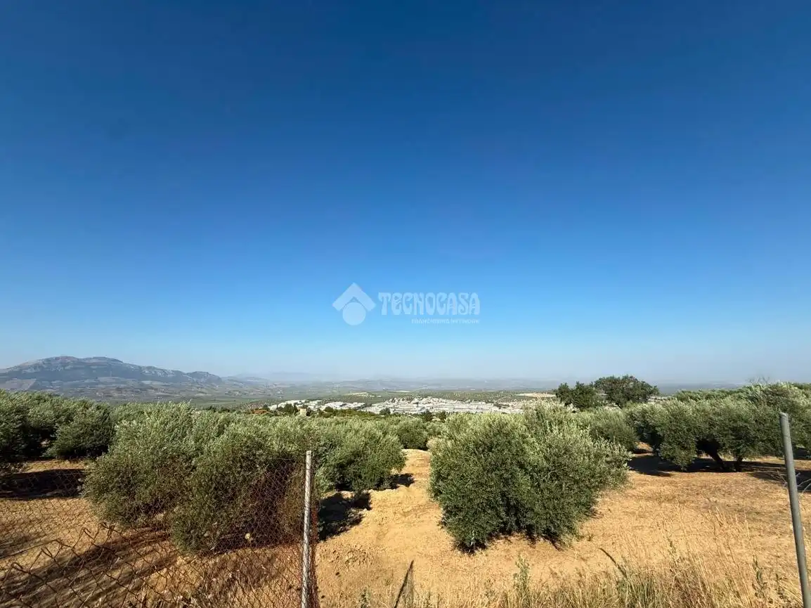 Terreni e lotti in vendita a Martos, imagen 28