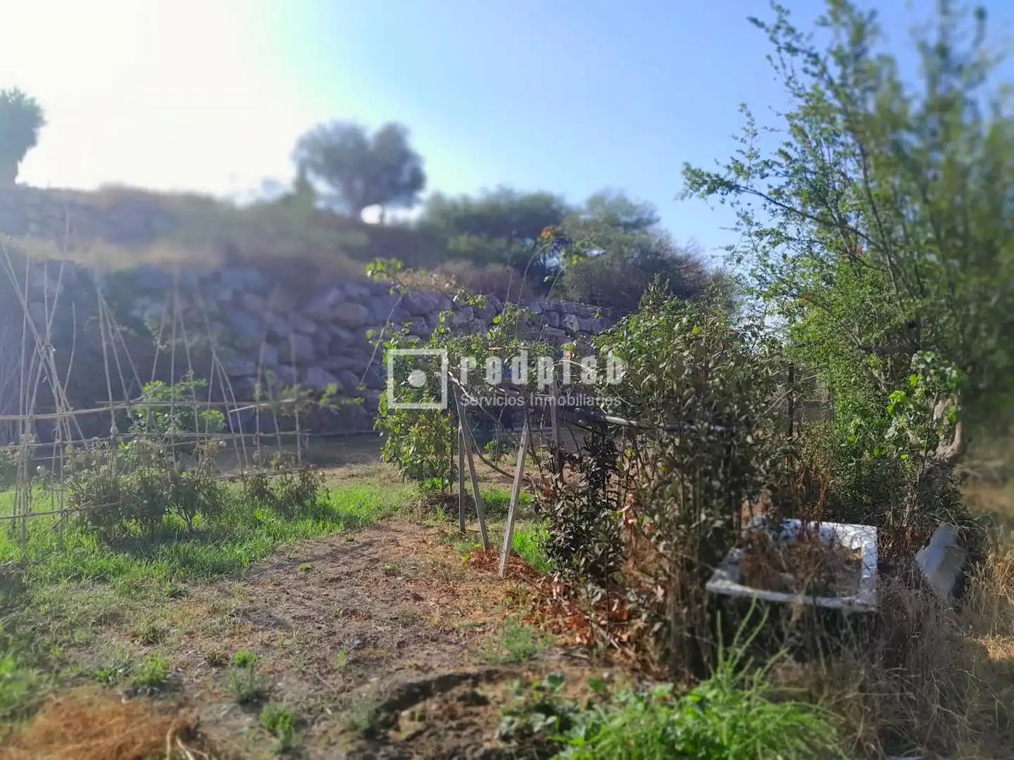 Terreni e lotti in vendita a Campanillas, imagen 16