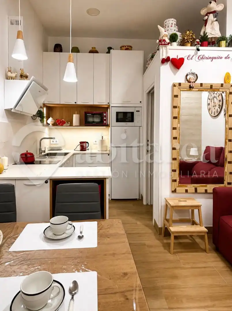 Cocina de Estudio de alquiler en Santander con Amueblado y Horno