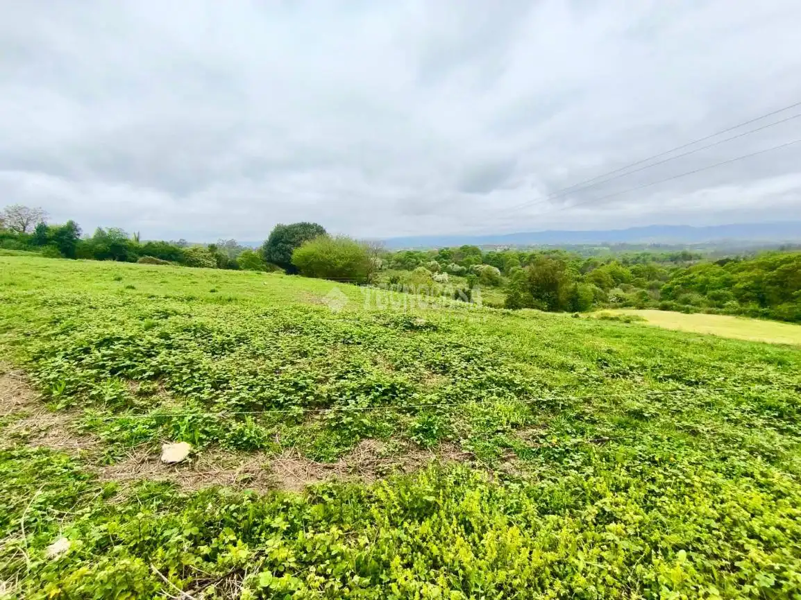 Land for sale in Siero