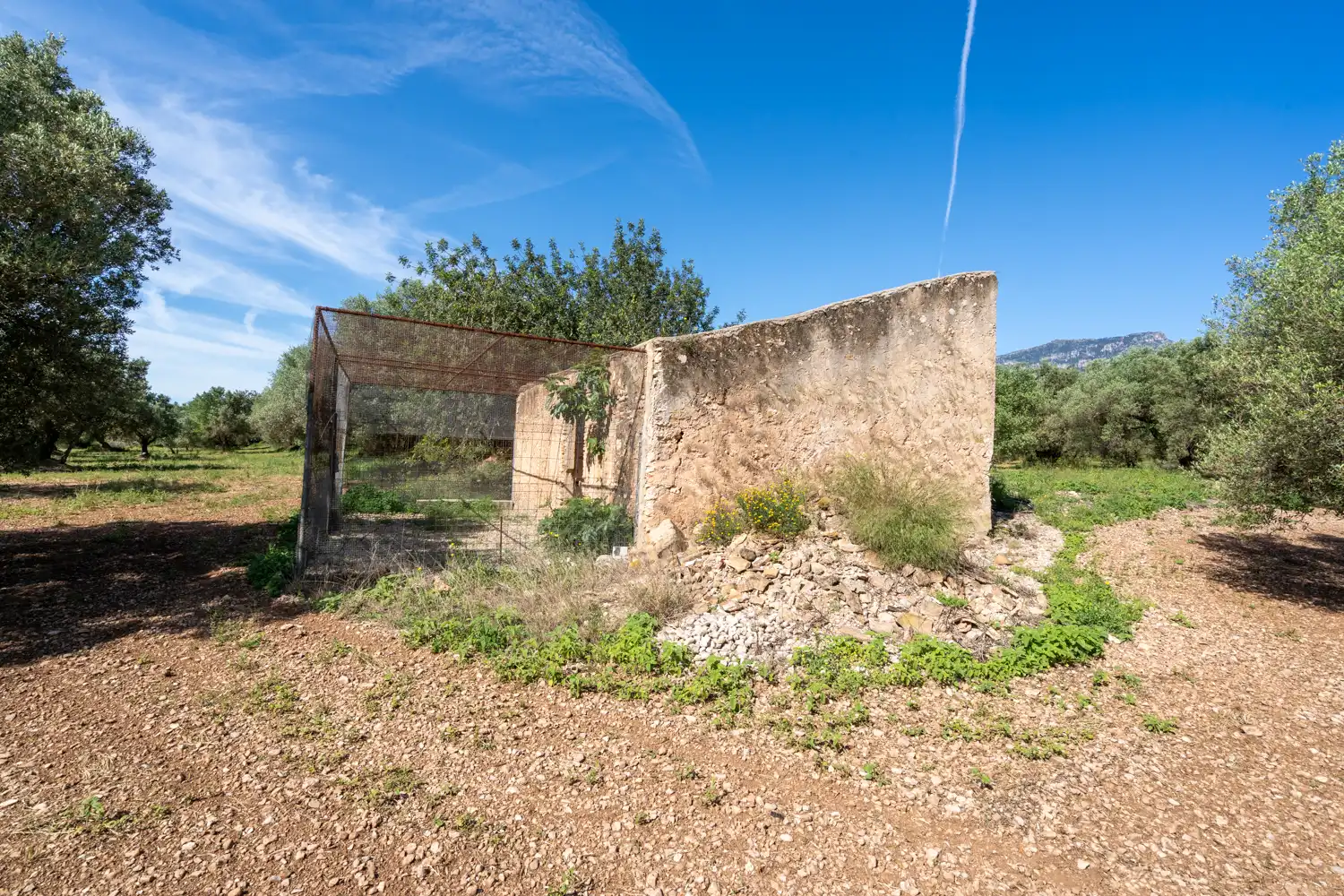 Terreno rustico in vendita a Camí de Terrapico 21, imagen 17