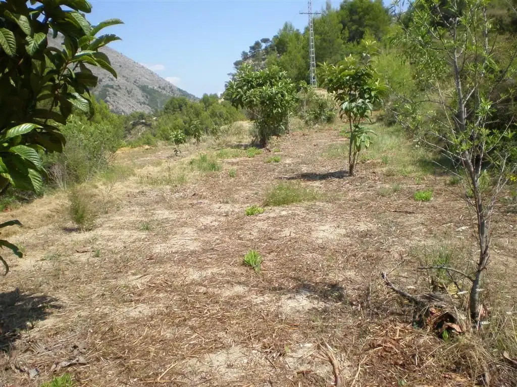 Terreno en venta en Callosa d'en Sarrià