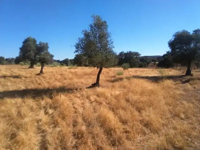 Terreno residenziale in vendita a Valsequillo, imagen 2
