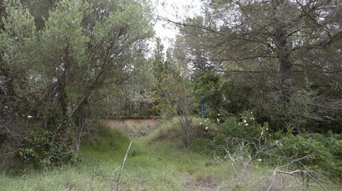 Photo 5 of Land for sale in Bacarés - Manresa  - Bonaire, Alcúdia
