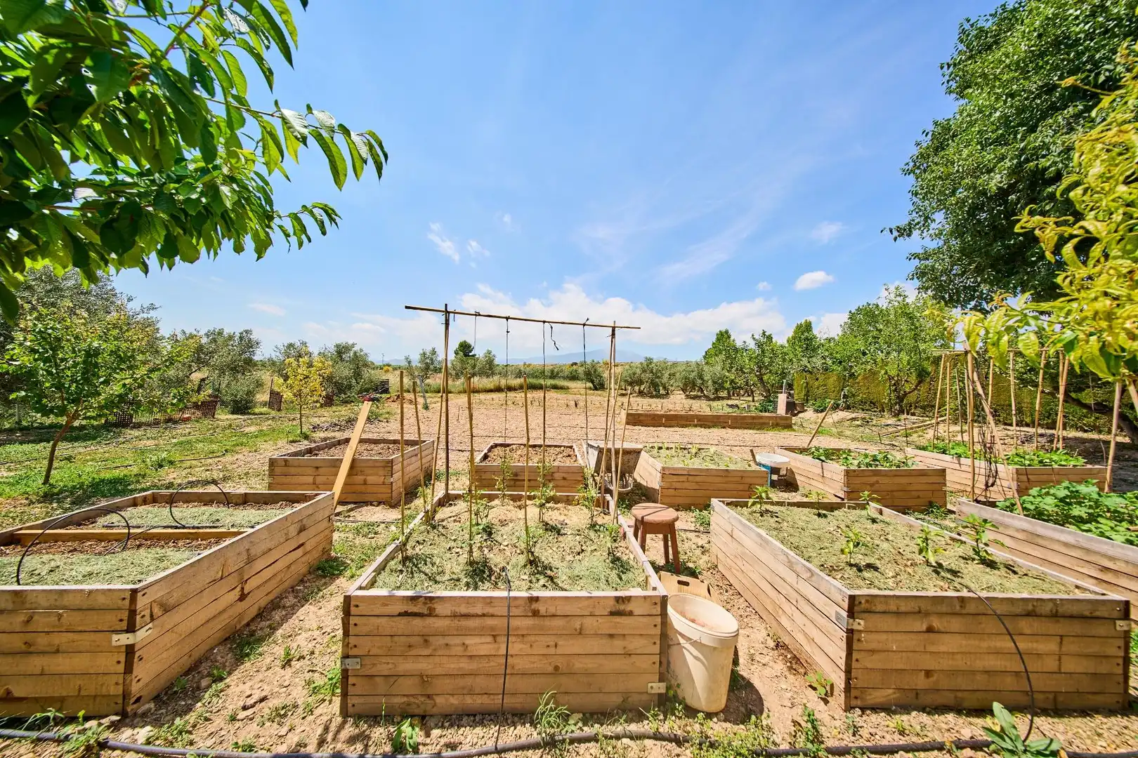 Jardín de Finca rústica en venta en Caniles