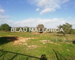 Land for sale in Sant Llorenç des Cardassar