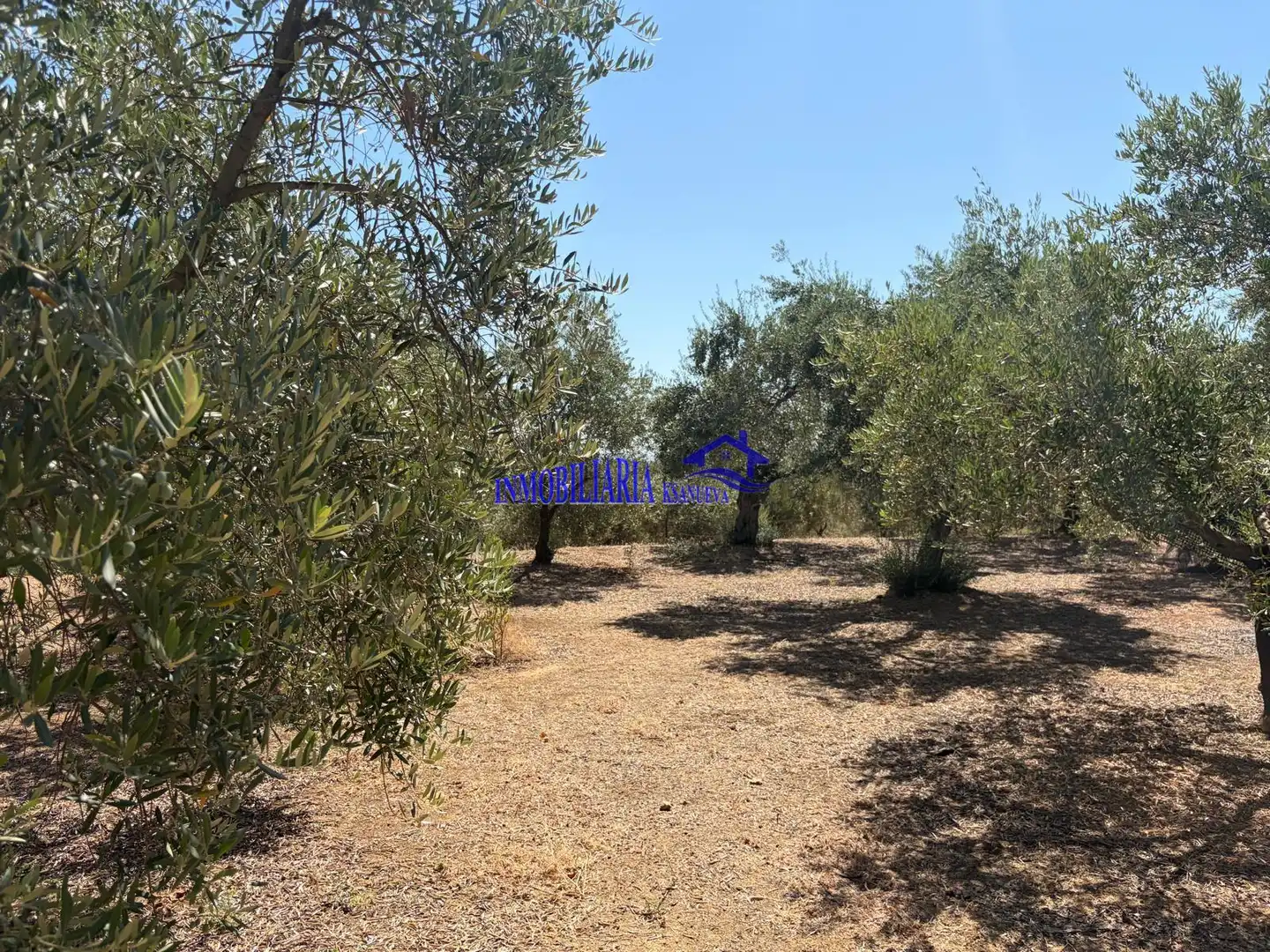 Finca rústica en venda en Adamuz