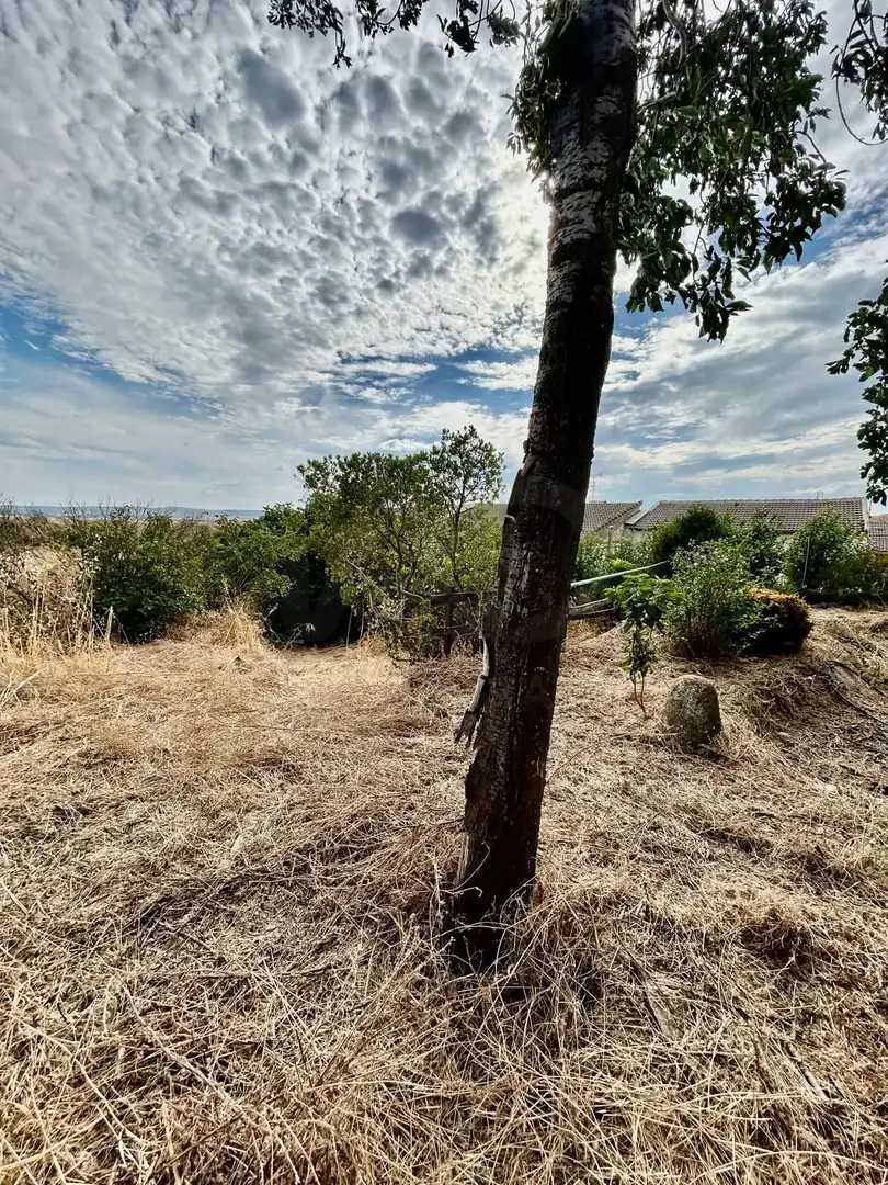 Finca rústica en venda en Cebrones del Río