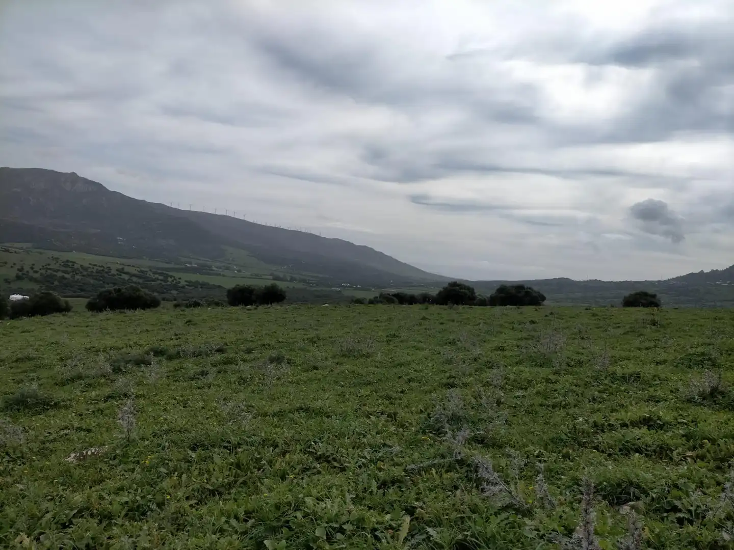 Terreno en venta en Tarifa