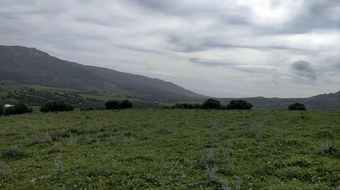 Foto 2 de Terreny en venda a Lugar Lugar Cumbres, 10, Facinas, Tarifa