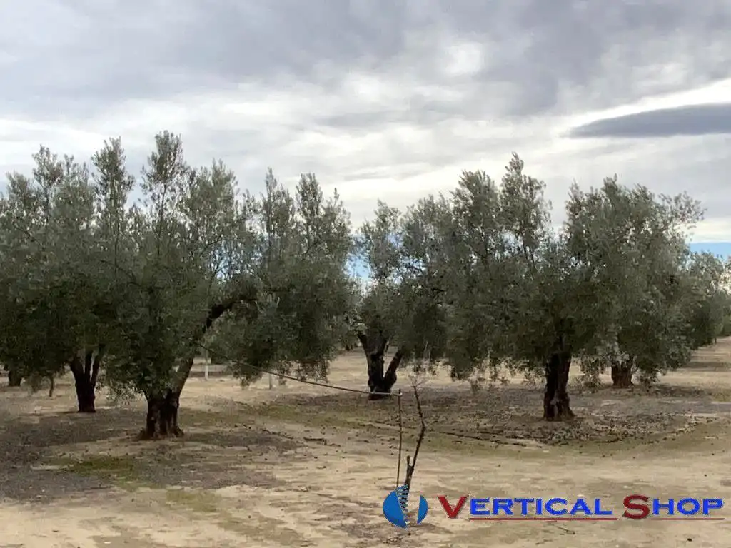 Casa o chalet en venta en Caudete