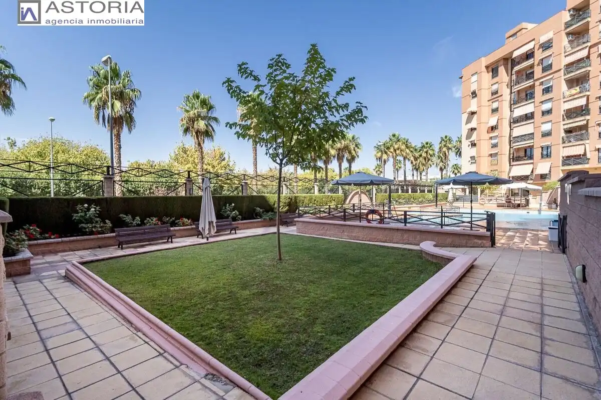 Baixos amb piscina en venda a Calle PDTA RAFAEL GAGO PALOMO 9