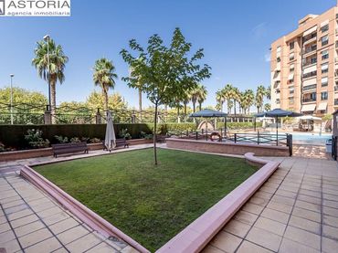 Baixos amb piscina en venda a Calle PDTA RAFAEL GAGO PALOMO 9