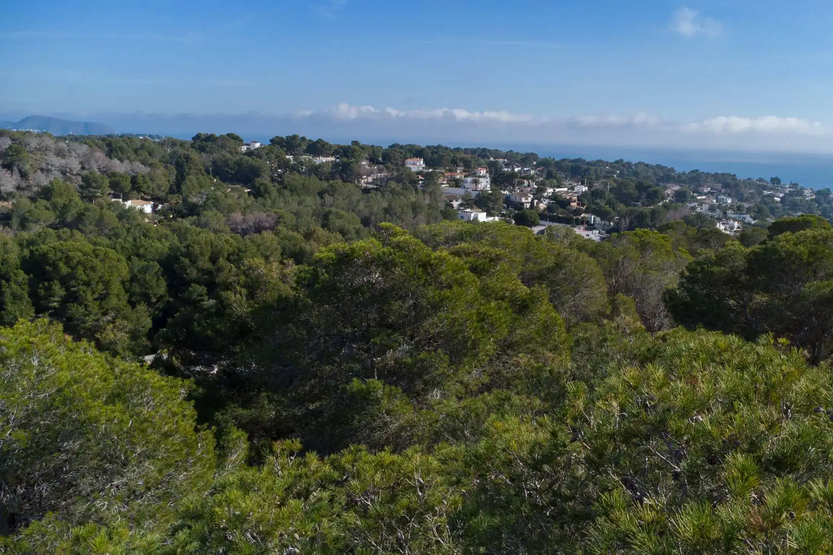 Terrenys i solars en venda a La Fustera, imagen 7