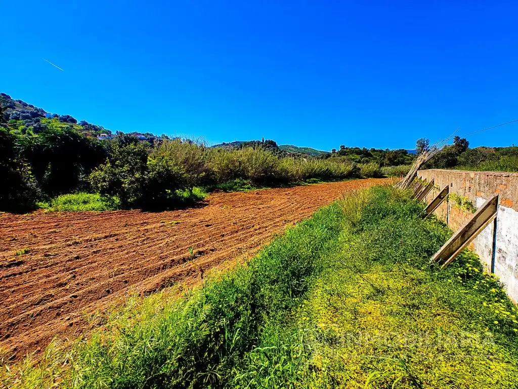 Casa rústica en venda a Partida Llano Comisario, imagen 5