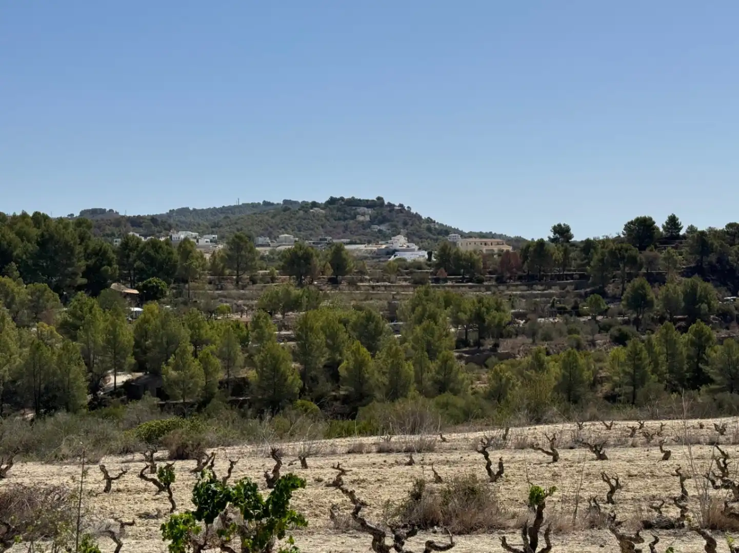Terrenos y solares en venta en Benissa pueblo, imagen 3