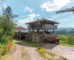 Vista exterior de Casa o xalet en venda en Grado amb Jardí privat