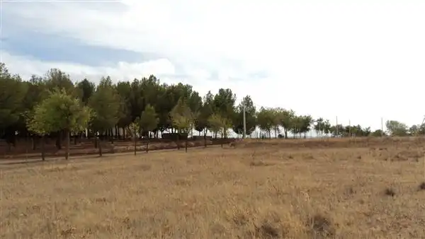 Residencial en venta en Villafranca de los Caballeros