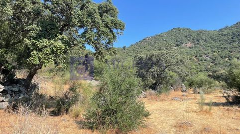 FINCA MIXTA DE UNAS 50 HECTÁREAS EN LA ZONA DE ALCUESCAR, imatge 4