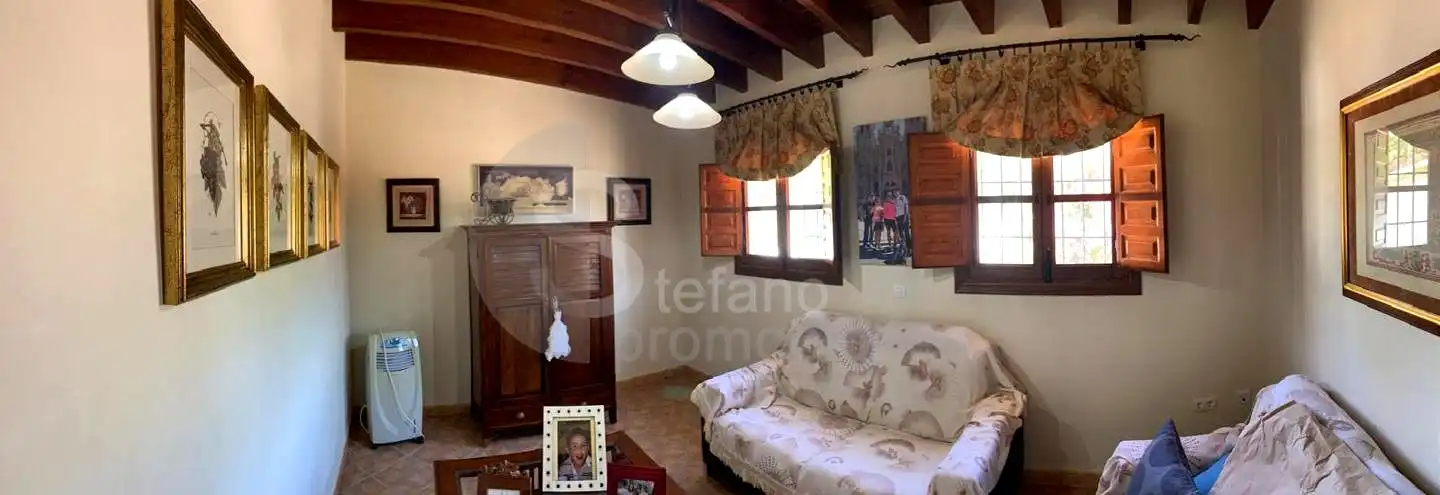 Sala d'estar de Casa o xalet en venda en Álora amb Aire condicionat, Jardí privat i Terrassa