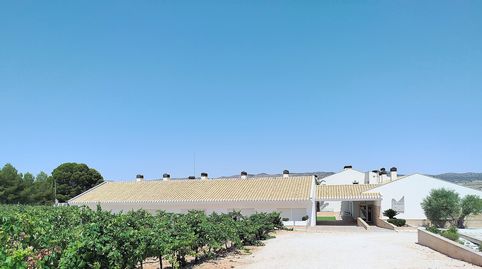Foto 5 de Finca rústica en venda a Yecla, Murcia