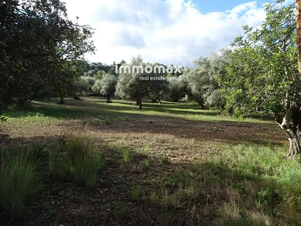 Houses for sale in Aldover