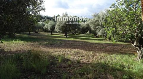 Foto 3 de Casa o xalet en venda a N/a, Aldover, Tarragona