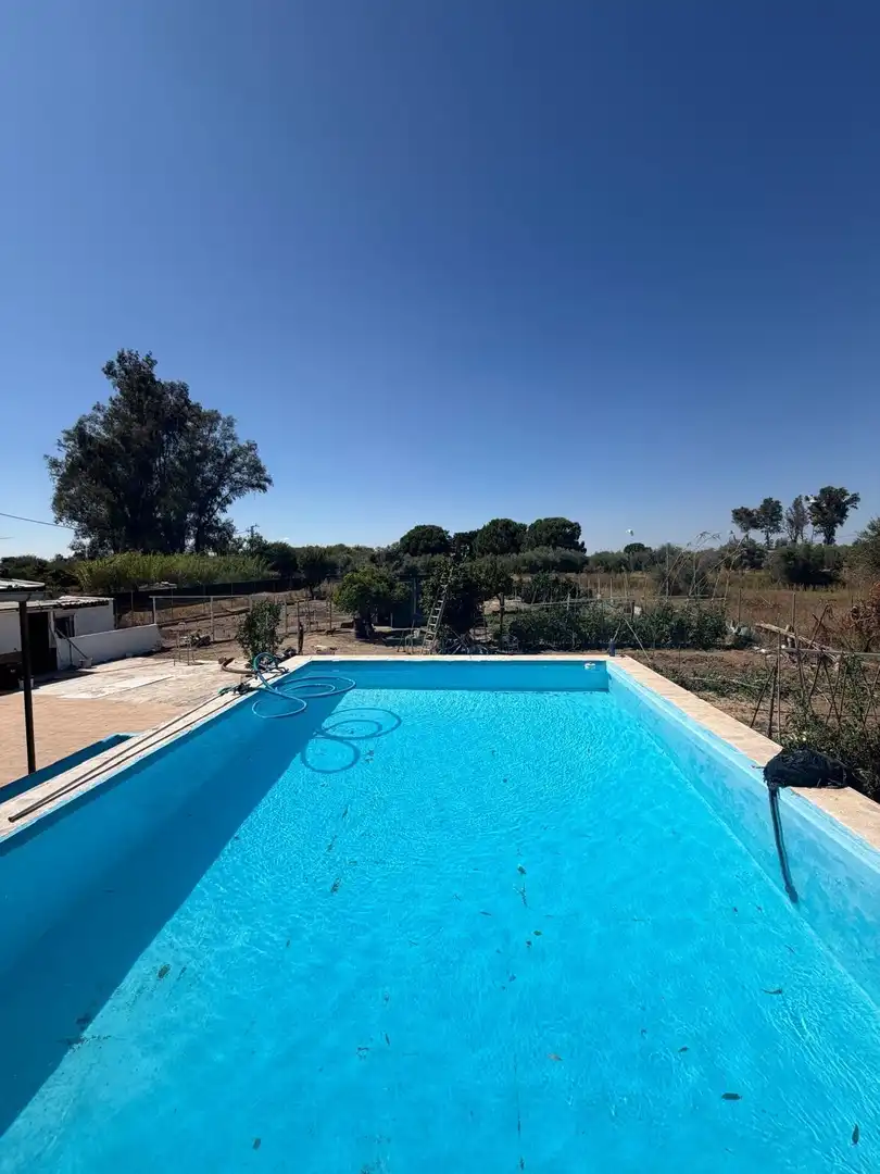 Piscina de Finca rústica en venta en Utrera