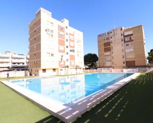 Swimming pool of Apartment for sale in Orihuela  with Swimming Pool