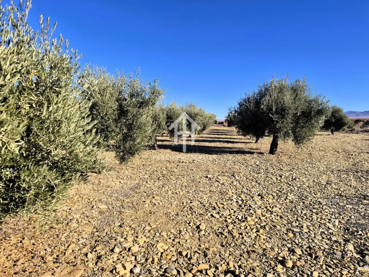 Lands and plots for sale in Lanteira, imagen 17