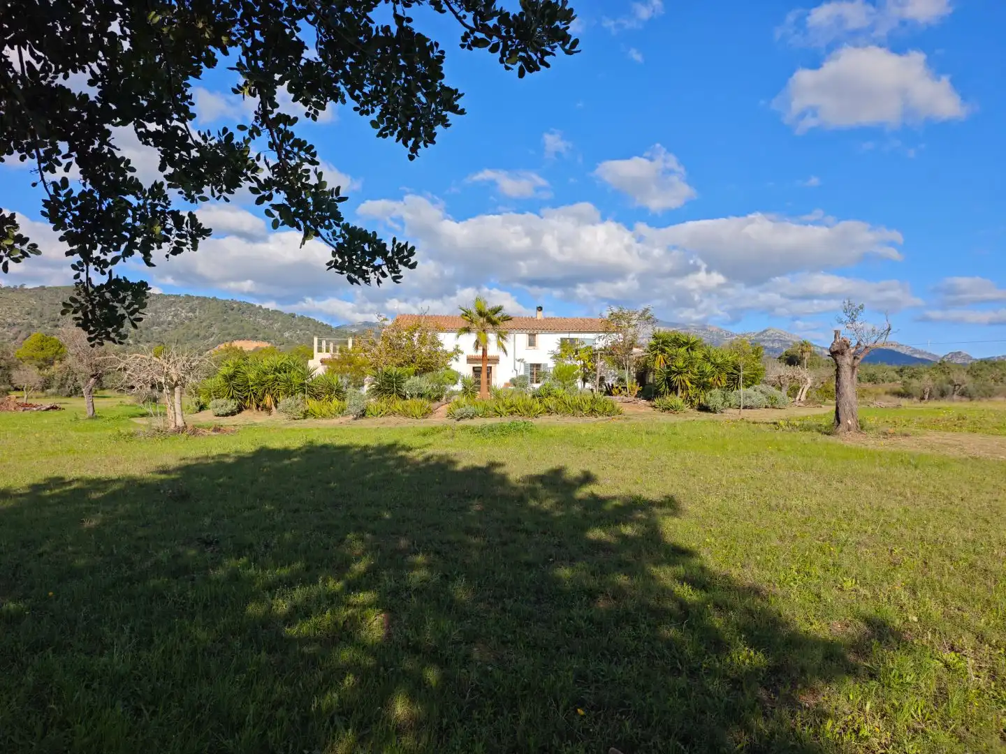 Landhaus mit Garten zum Verkauf in Diseminado Carretera Lloseta-inca 3A, imagen 2