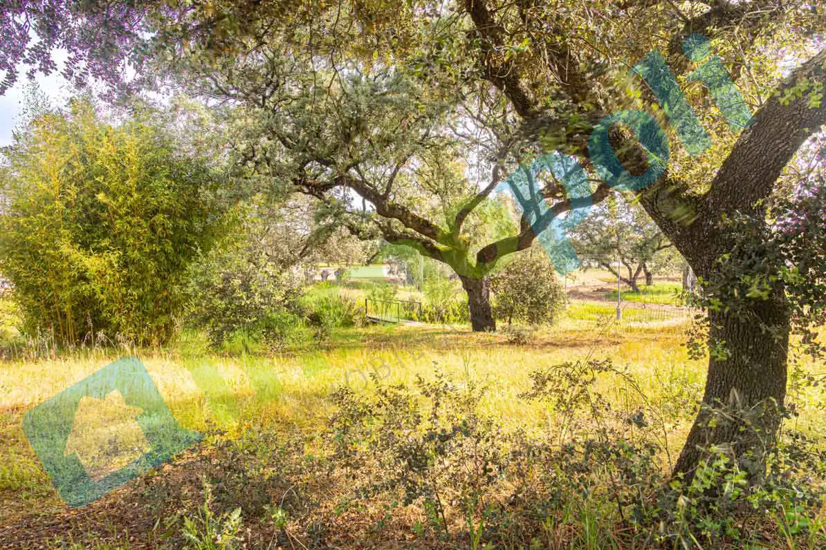 Garten von Haus oder Chalet zum Verkauf in Badajoz mit Klimaanlage und Abstellraum