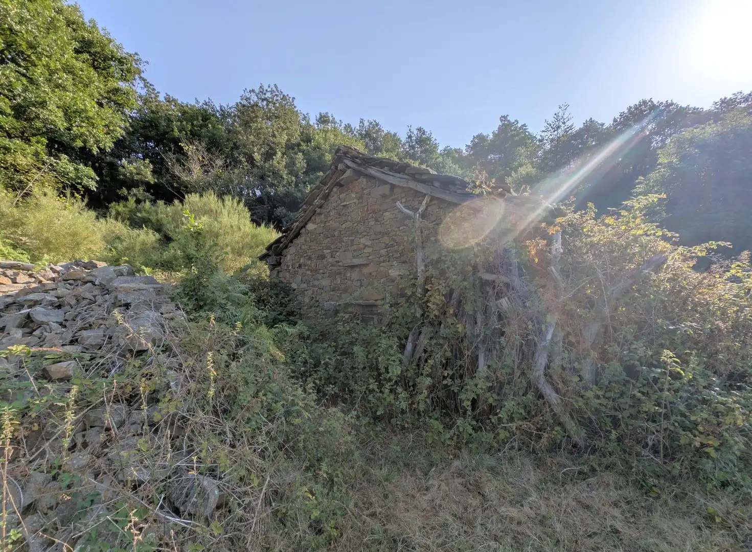 Vista exterior de Casa o xalet en venda en Aller amb Jardí privat