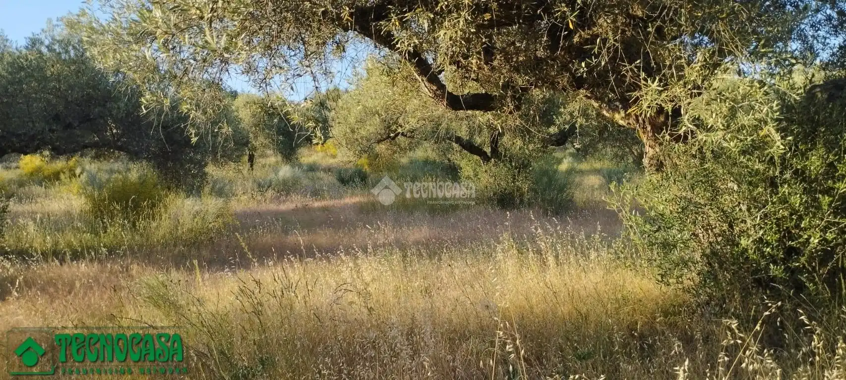 Terreni e lotti in vendita a Méntrida, imagen 23