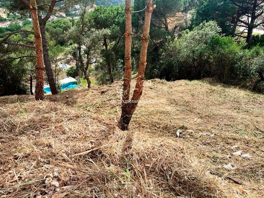 Terreno residencial en venta en Avinguda de la Senyera 14, imagen 2