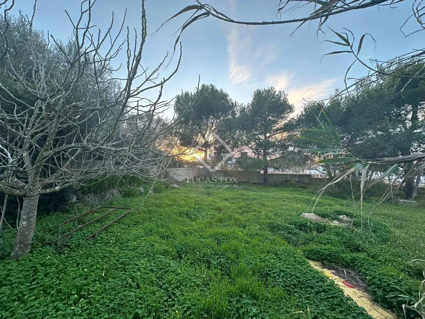 Terreno rustico in vendita a Cala en Porter