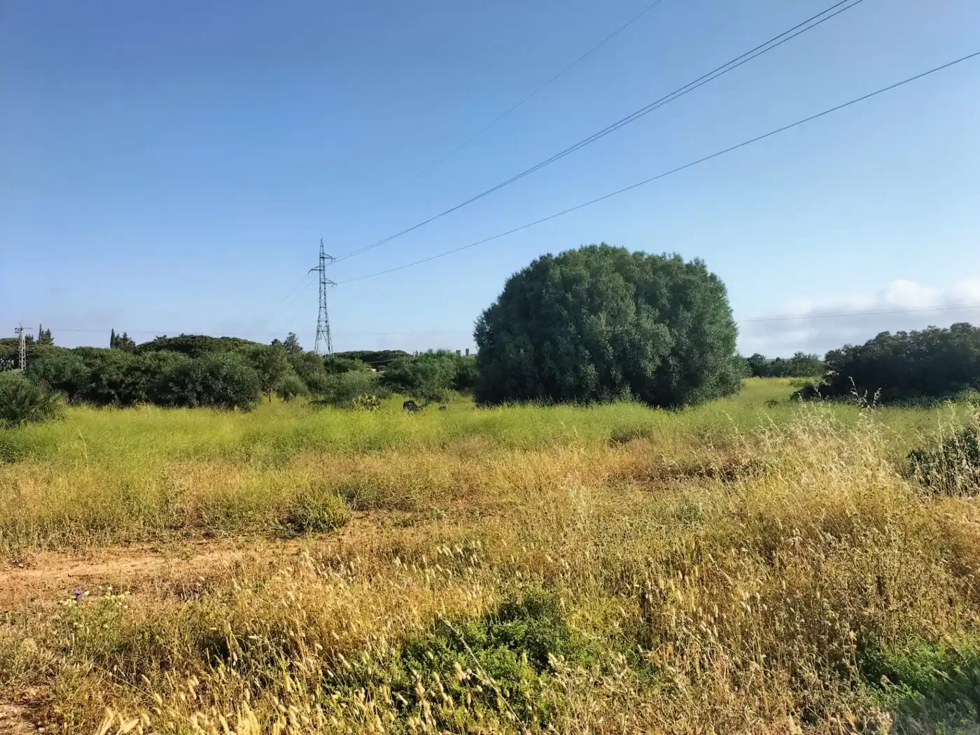 Terreno rústico en venta en Villanueva Golf, imagen 10