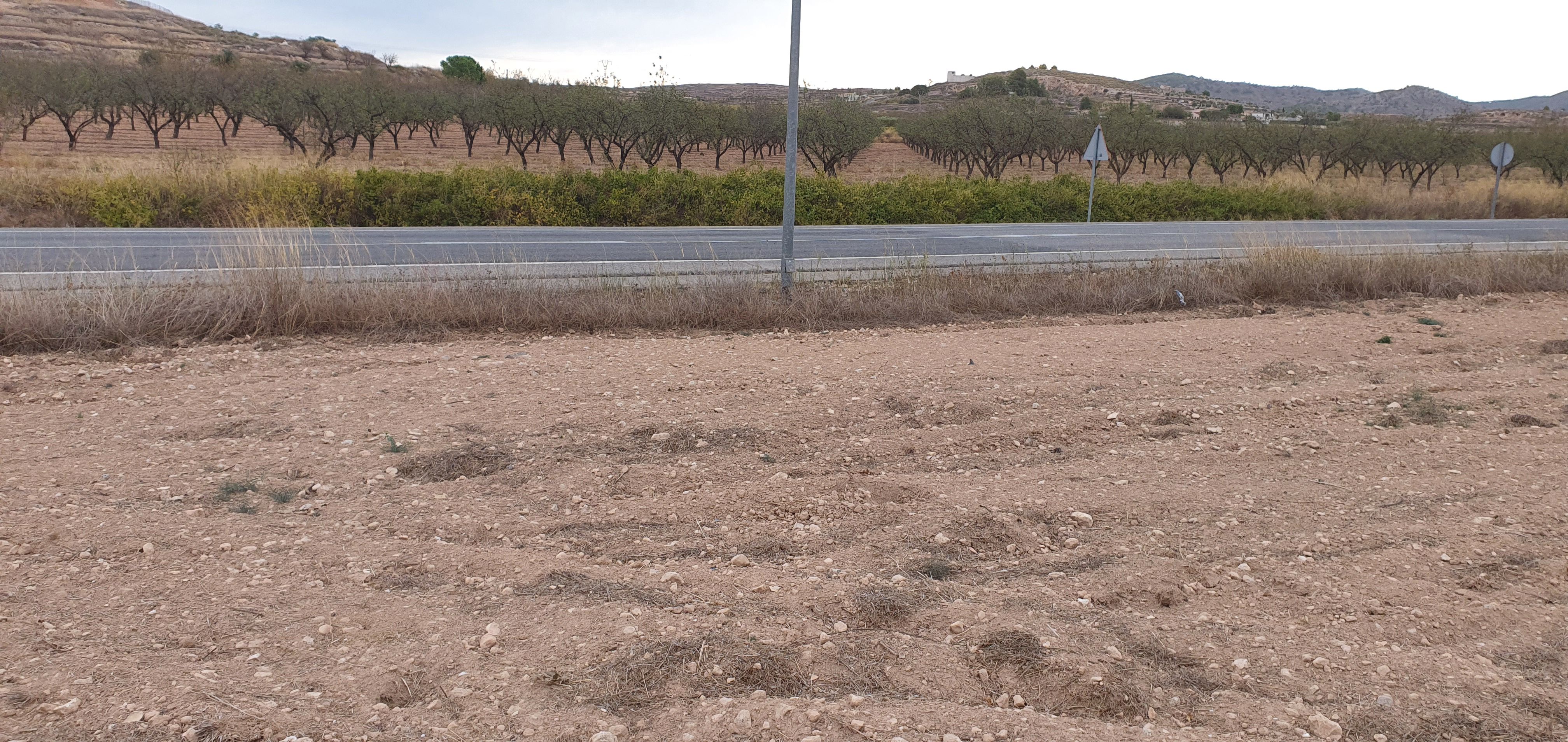 Grundstücke zum verkauf in El Pinós / Pinoso