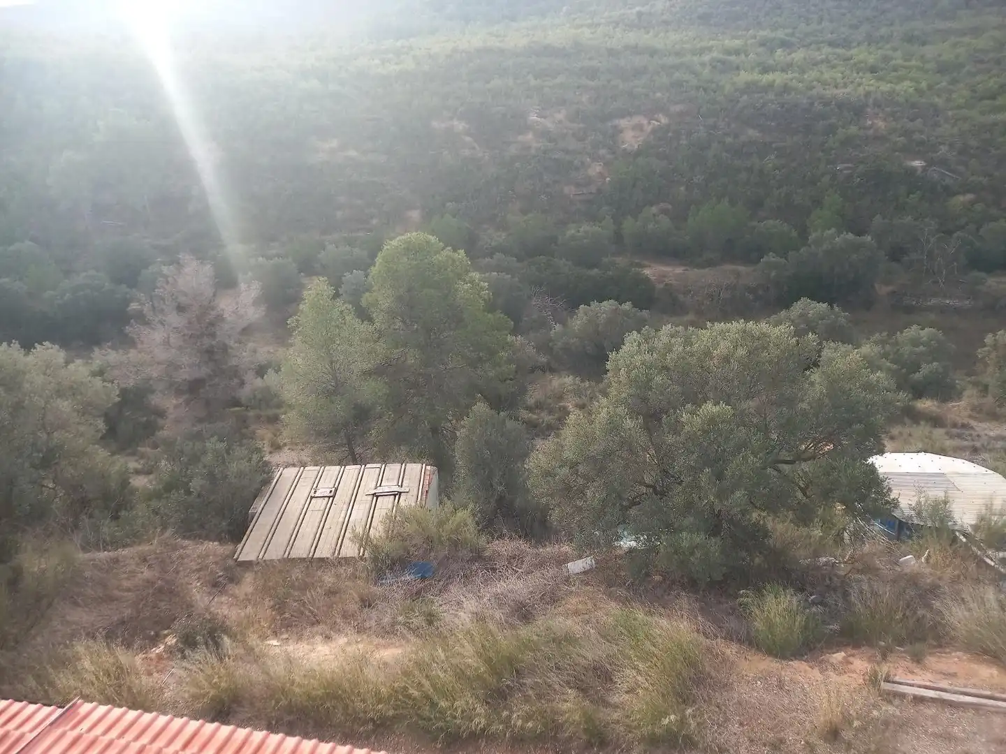 Grundstücke zum Verkauf in Riba-roja d'Ebre