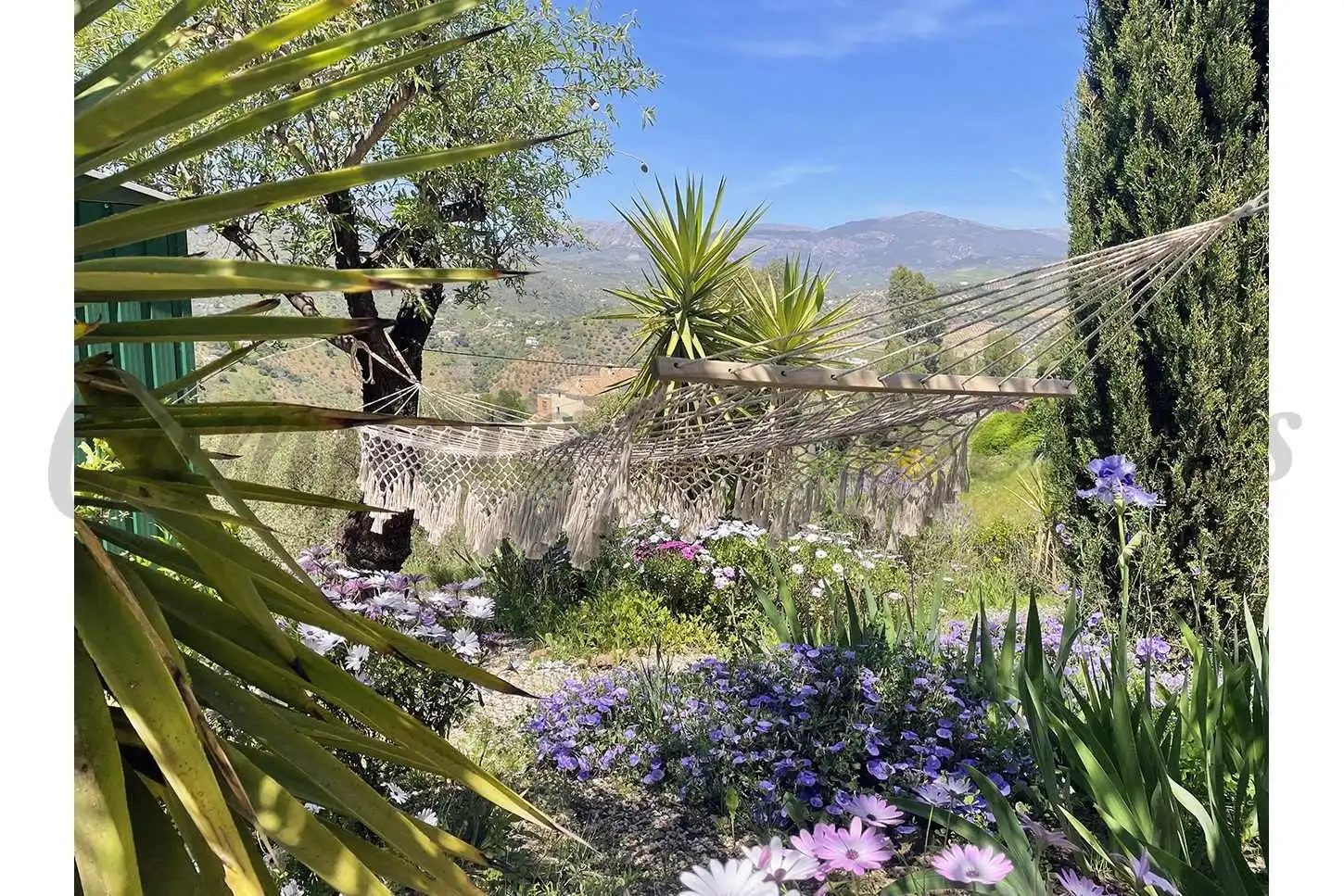 House with garden for sale in Comares, imagen 16