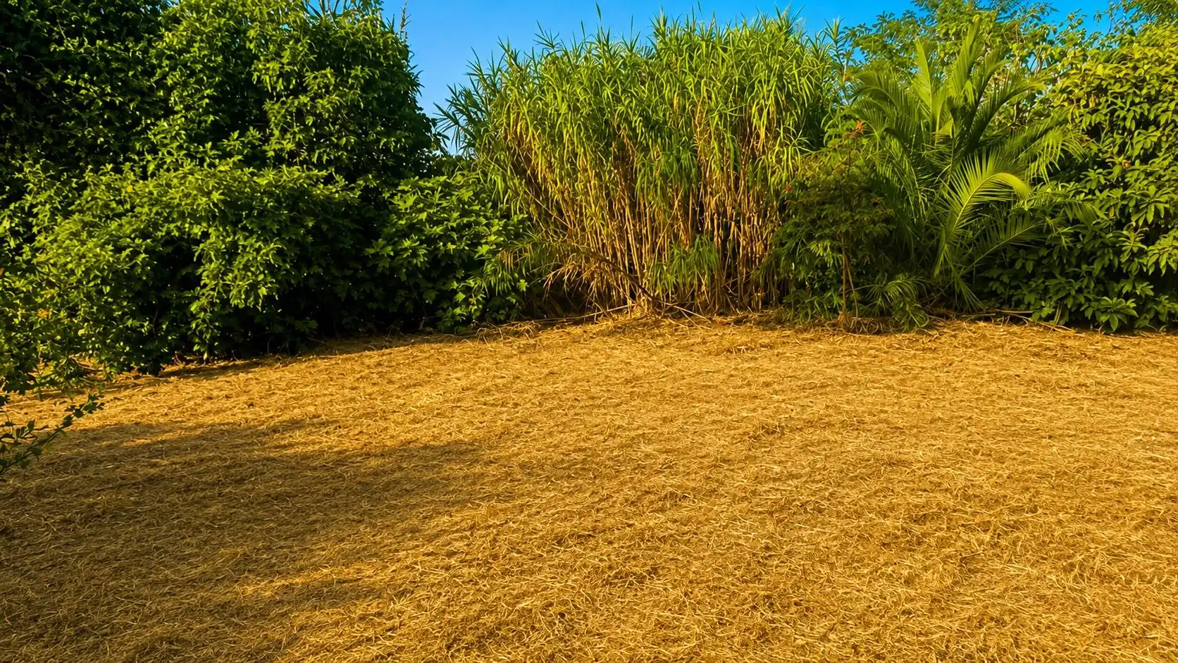 Wohnbaugrundstück zum Verkauf in La Banda - Campo de Fútbol, imagen 12