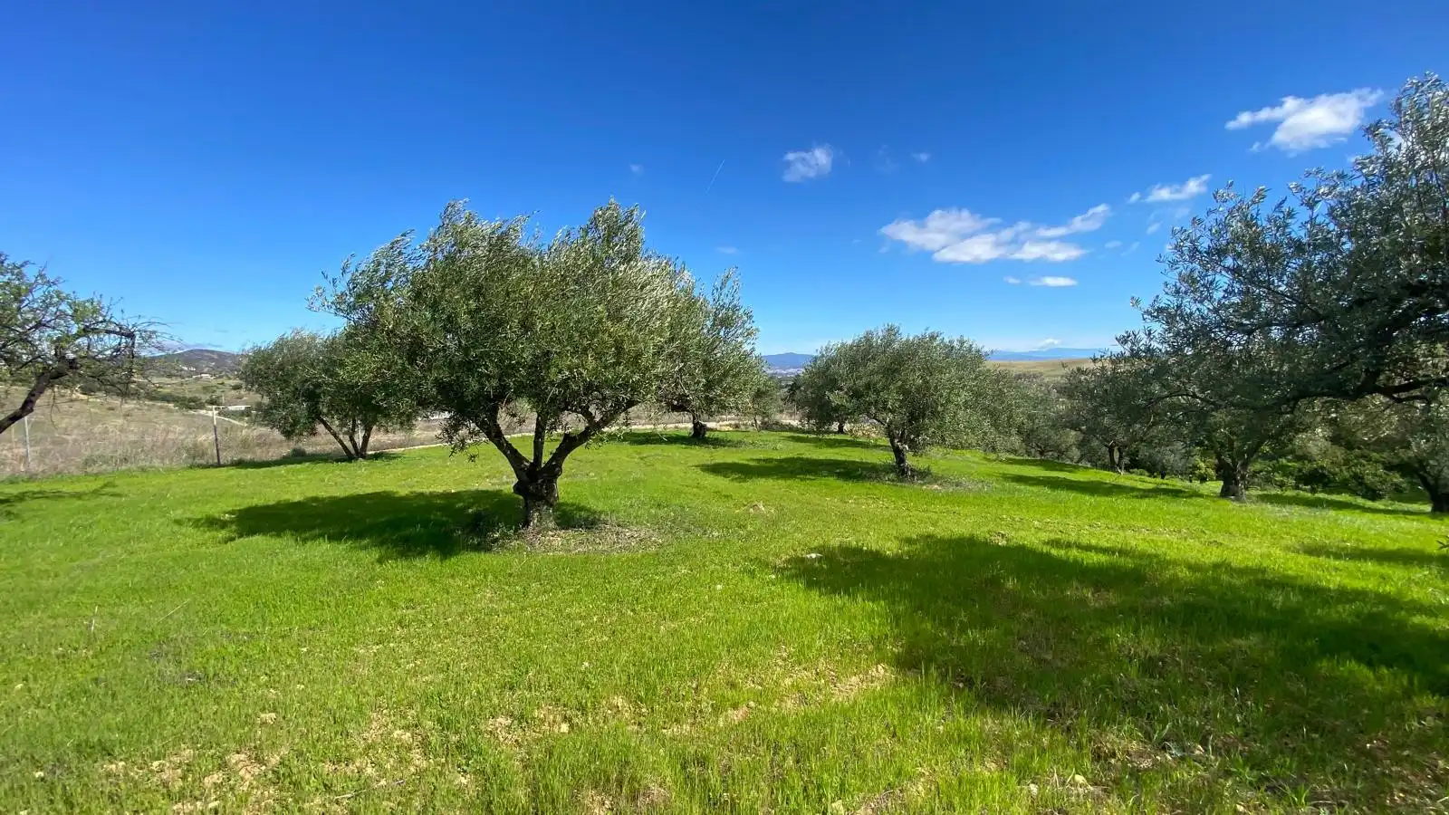 Terreni e lotti in vendita a Alquería - Torrealquería, imagen 16