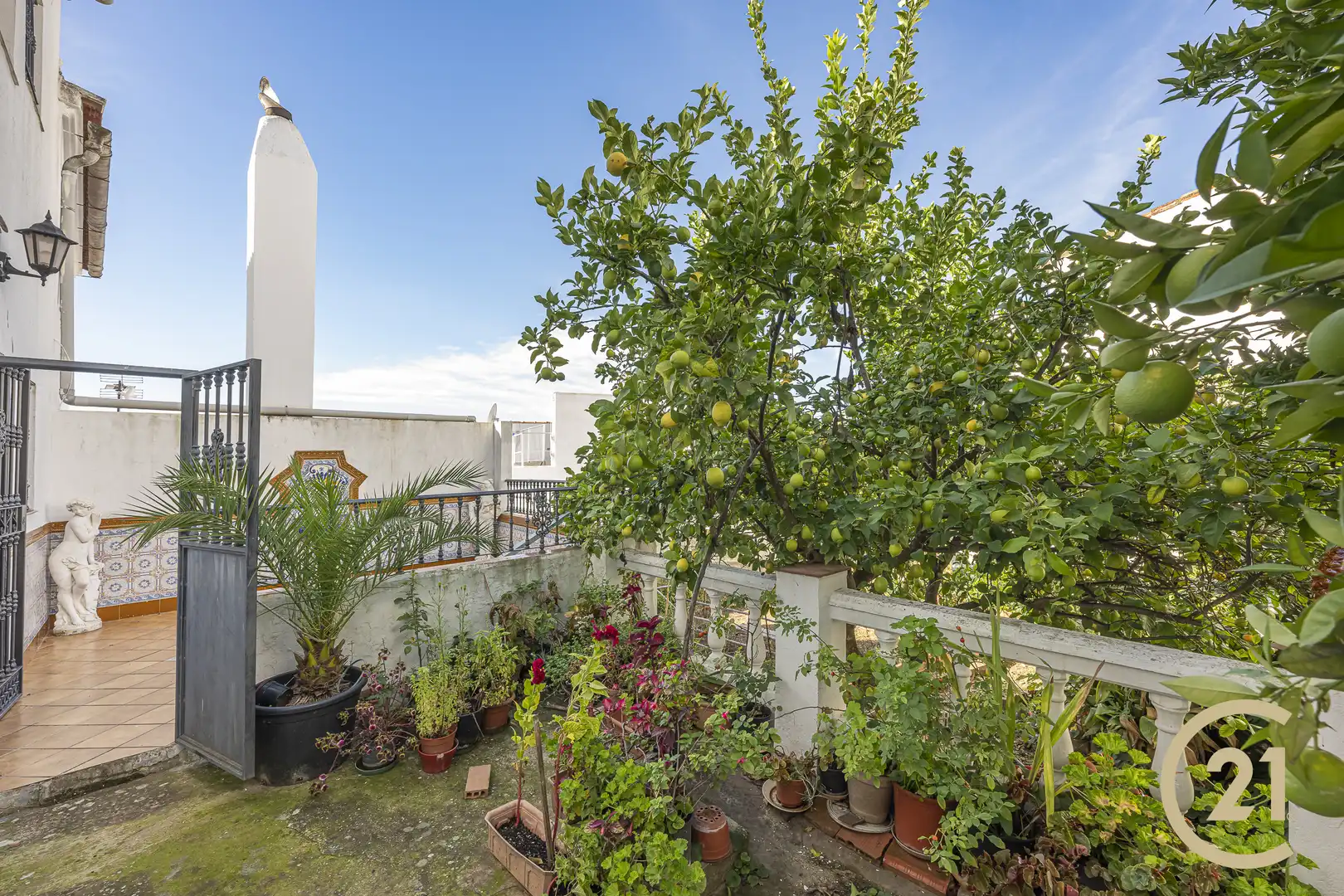 Jardín de Casa adosada en venta en Gaucín con Jardín privado, Terraza y Trastero