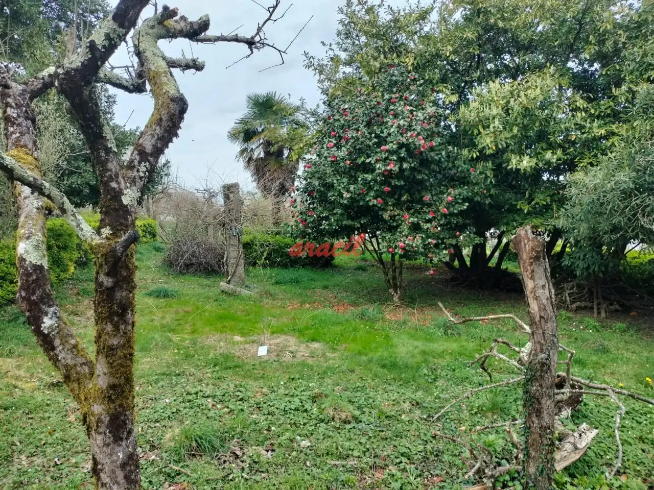 Casa o chalet en venta en Ourense Capital  con Calefacción, Jardín privado y Terraza