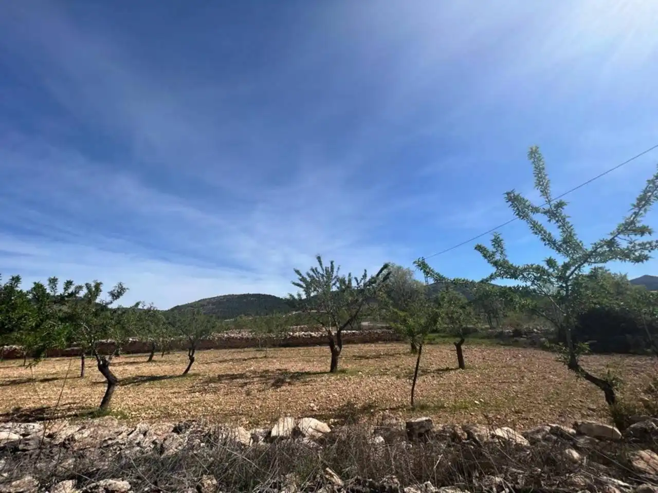Chalet con jardín en venta en Calle Poligono, imagen 81