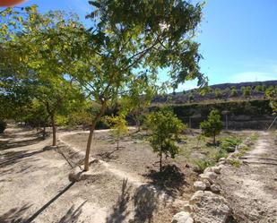 Jardí de Casa o xalet en venda en Elche / Elx