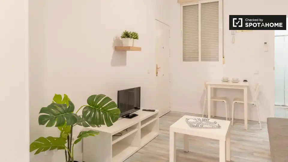 Piso con terraza en alquiler en Centro, imagen 5