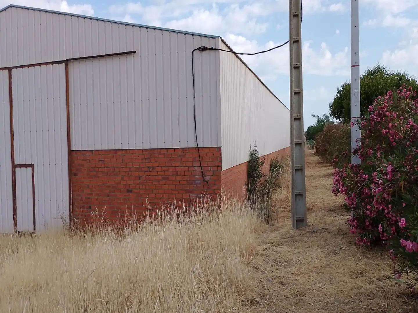 Außenansicht von Fabrikhallen zum Verkauf in Sancti-Spíritus (Badajoz)