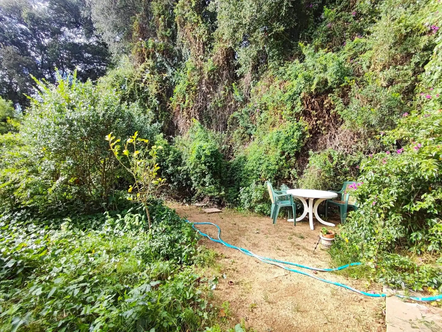 Casa amb jardí en venda a Carrer Carrer Montseny, imagen 34