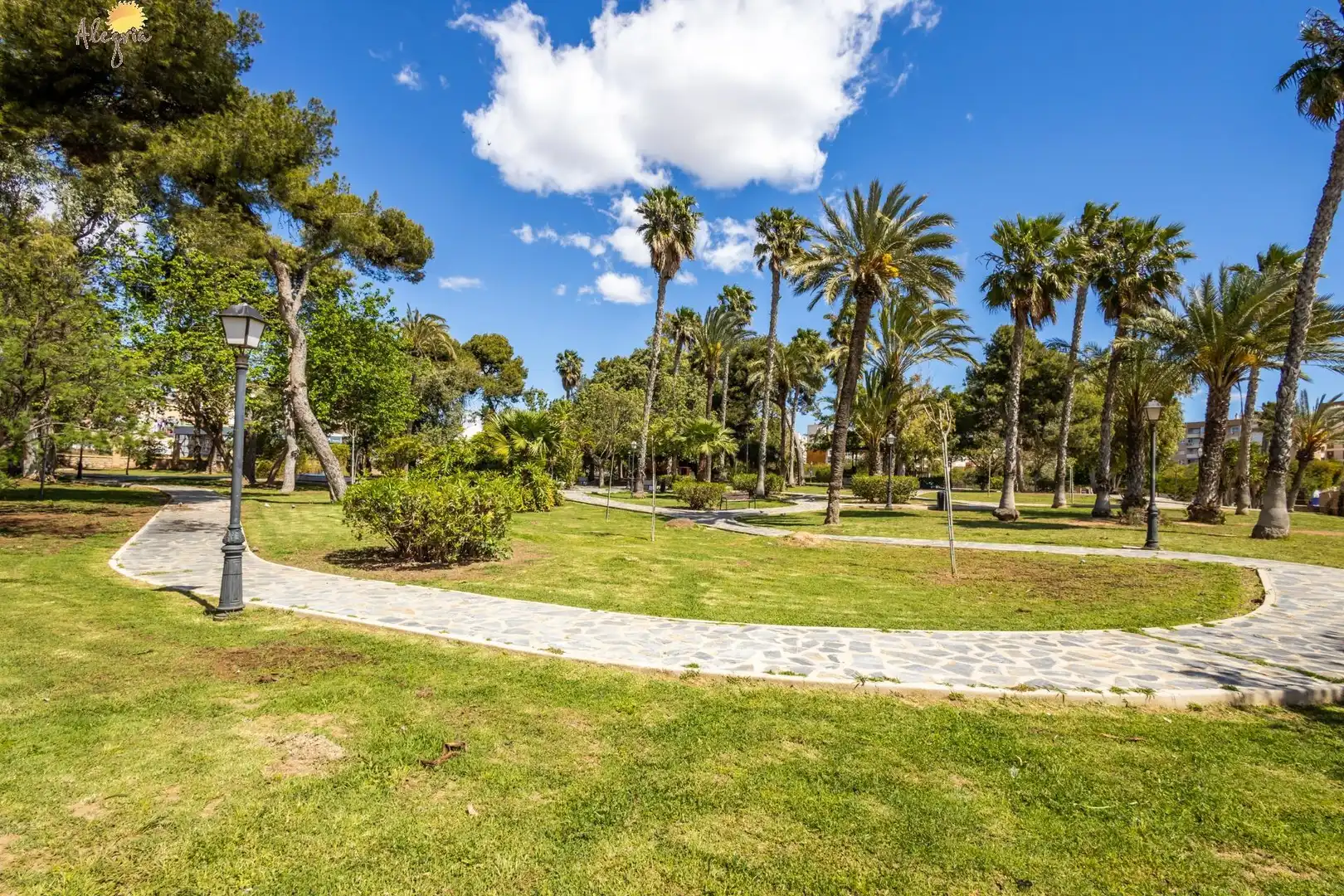 Apartamento con terraza en venta en Calle doña sinforosa, imagen 53